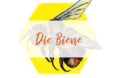Titelbild die Biene