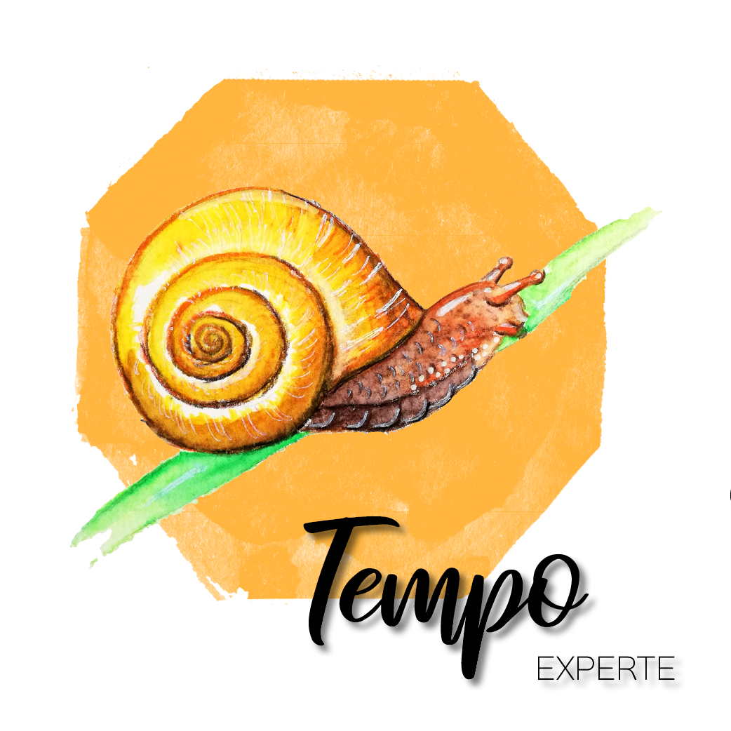 Die Schnecke